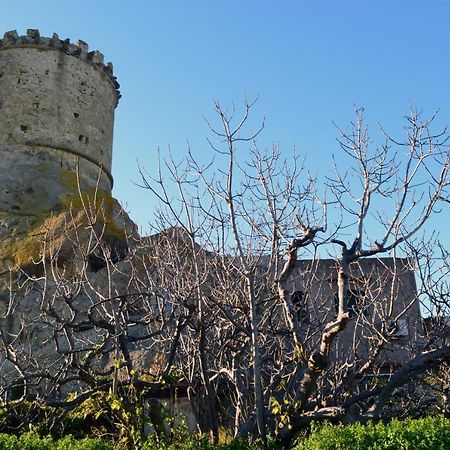L'Agrumeto Forio di Ischia Zewnętrze zdjęcie